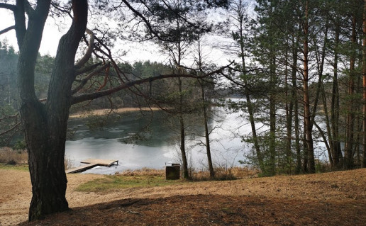 22_Ančios ežero poilsiavietė paplūdimys Galė (2).jpg